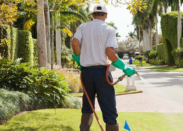 About Fort Lee VA Pest Control